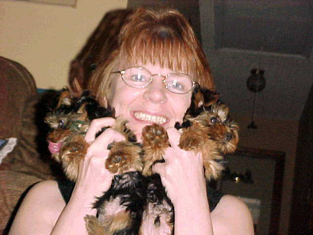 tiffany taylor wallpapers. Tiffany Taylor Wallpapers. Tiffany Taylor 1; Tiffany Taylor 1. anthonymoody. Aug 28, 03:12 PM. With the switch to Intel,