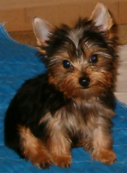 I'm just a lil Boy now but I'm gonna be a Stud one day!